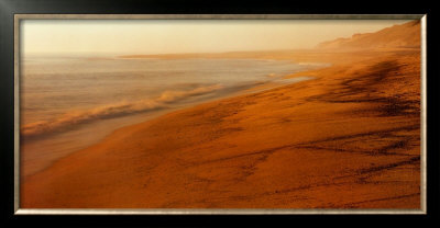 Buy Cape Cod Shore at AllPosters.com