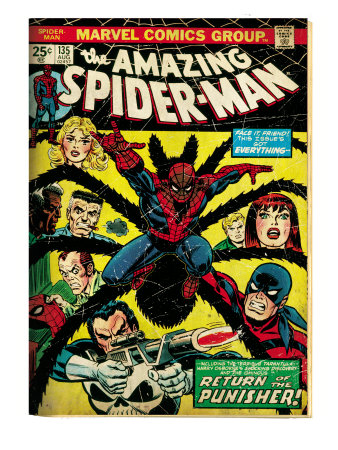 Marvel Comics Retro: The Amazing Spider-Man Comic Book Cover #135, Return of the Punisher! (aged)