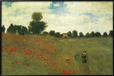 Poppies