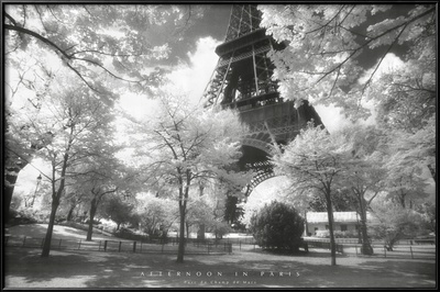 Afternoon In Paris