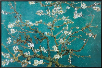 Almond Blossom