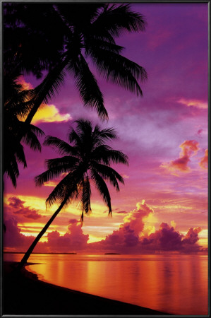 Tahitian Sunset