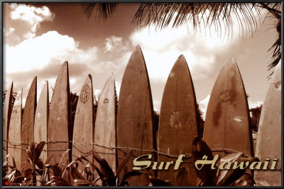 Surf Hawaii