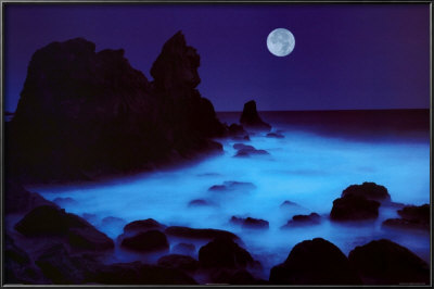 California Coast