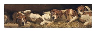Foxhounds At Rest