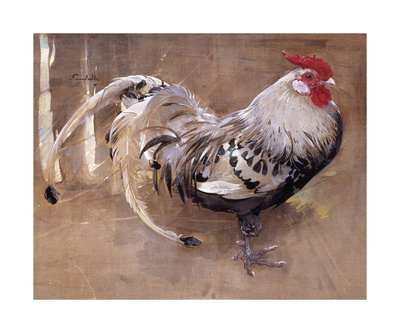 The Spangled Cock