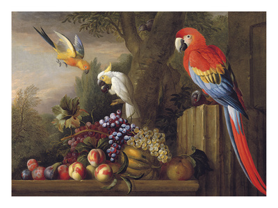 Parrots Of Paradise