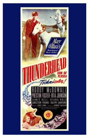 Thunderhead