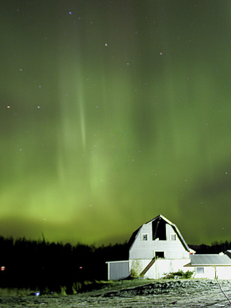 Northern Lights Dance across the Sky Near Palmer, Alaska