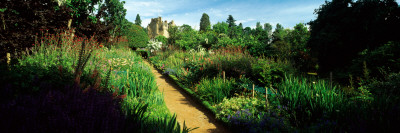 Garden of a Castle, Crathes Castle, Aberdeenshire, Scotland