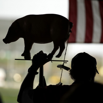 Man Holds a Pig, Representing Goverment Spending, as He Attends a Tea Party Tax Rally