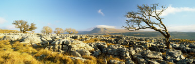 Rocks on a Landscape, Twistleton Scar, Yorkshire Dales, North Yorkshire, Yorkshire and the Humber, 