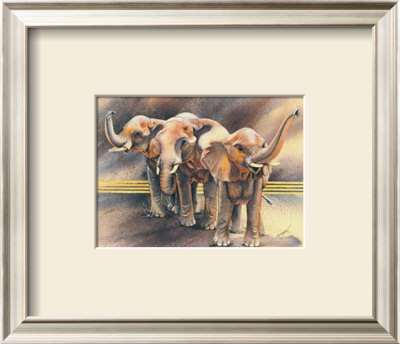 Family of Elephants