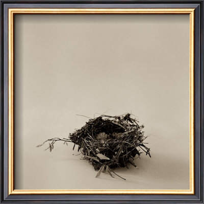 Home on a Stick Framed Art Print