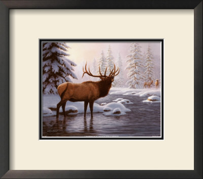 Elk II