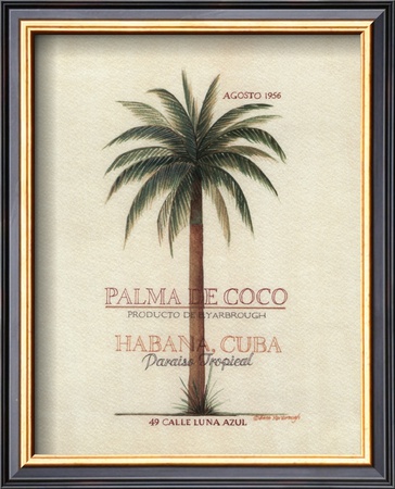 Palma de Coco