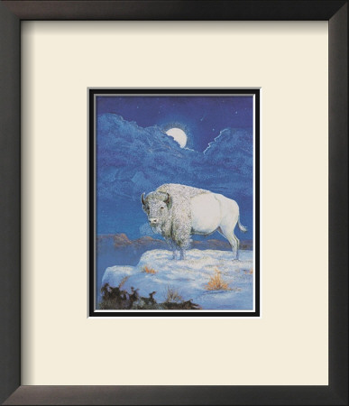 White Bison