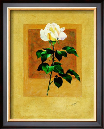Long Stem Rose