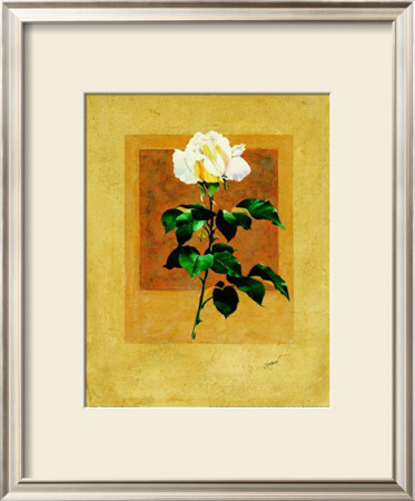 Long Stem Rose