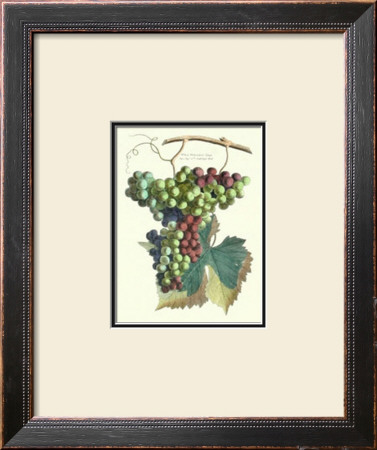 Detail of Grapes II