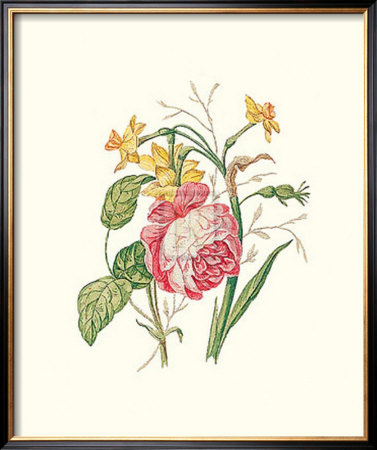Narcissus with Red Rose