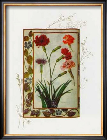 Botanics of 17th Century II