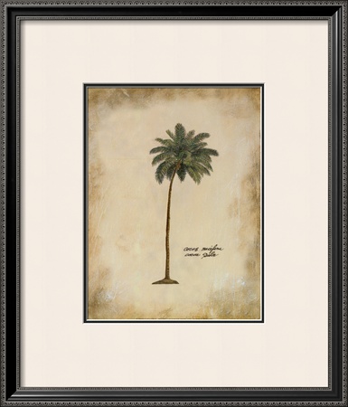 Cocoa Palm