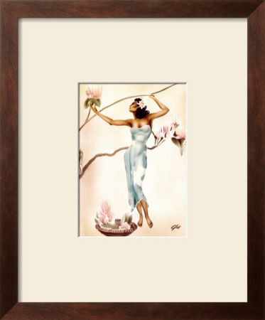 Magnolia