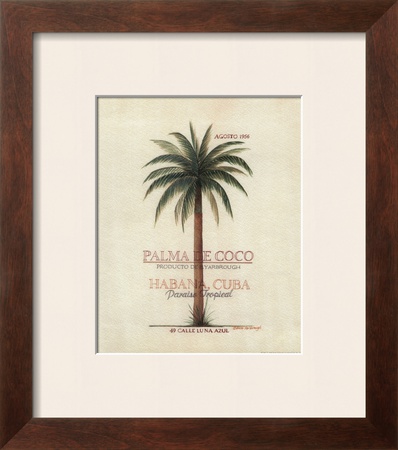Palma de Coco