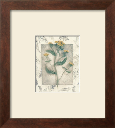 Yarrow