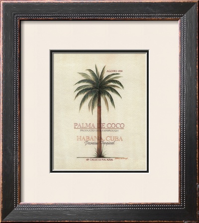 Palma de Coco