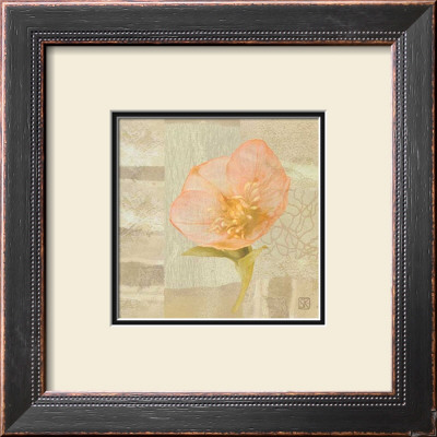 Hellebore III