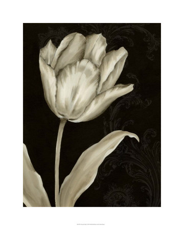 Buy Classical Tulip I at AllPosters.com
