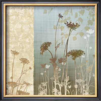 Delicate Fields I