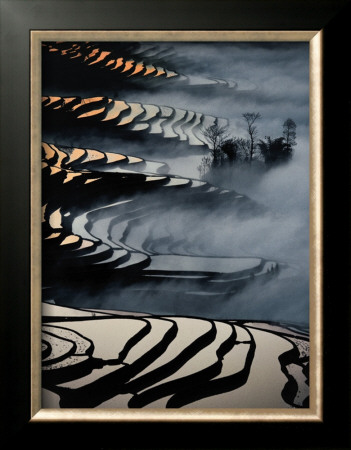 China, Yunnan Rice fields