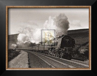 Buy Princess Alice at AllPosters.com