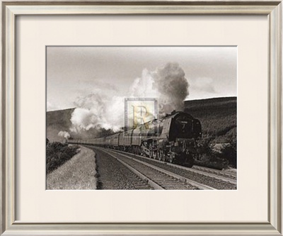 Buy Princess Alice at AllPosters.com