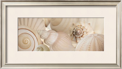 Buy Shells I at AllPosters.com