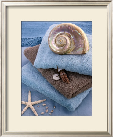 Coquillage et Eponges