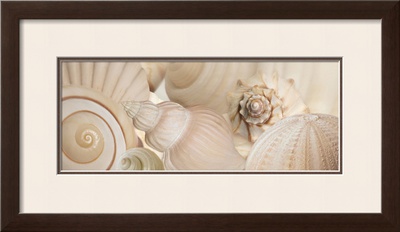 Buy Shells I at AllPosters.com