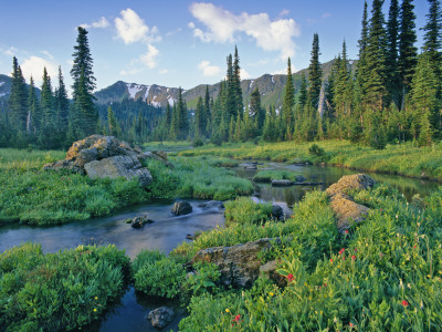 Picnic Creek in the Jewel Basin of the Swan Mountain Range, Montana, USA