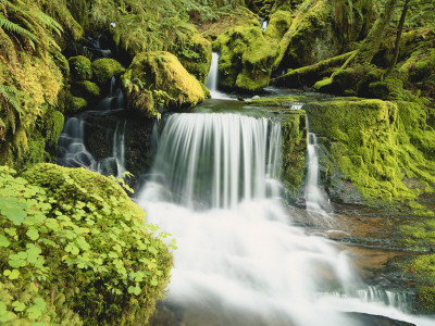 Waterfall in Willamette National Forest, Oregon, USA