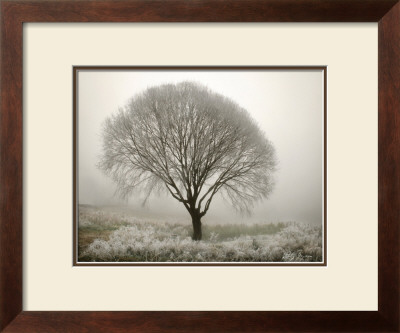 Tranquility II