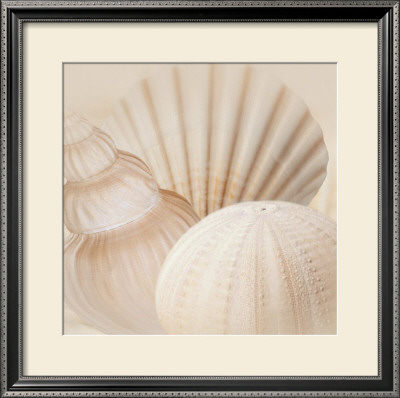 Buy Shells III at AllPosters.com