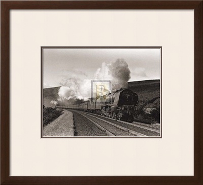 Buy Princess Alice at AllPosters.com
