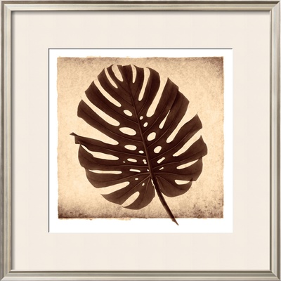 Monstera II