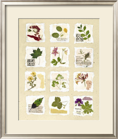 Kent Garden Fragments