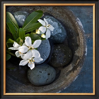 Vasque et Fleures