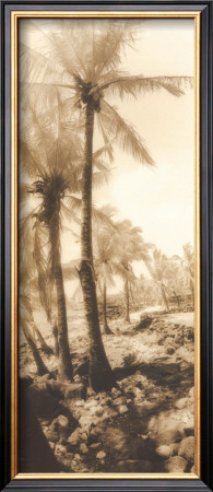 Buy Equatorial Breeze I at AllPosters.com