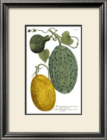 Antique Melons II